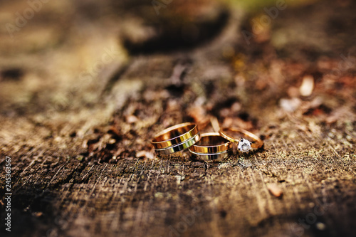 wedding rings on a wooden background