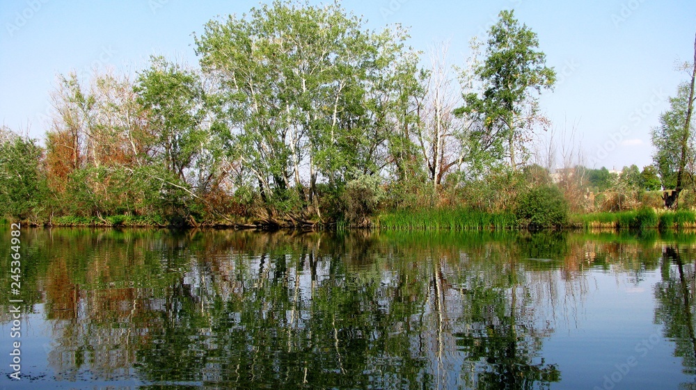 Obraz premium Walk on the lake