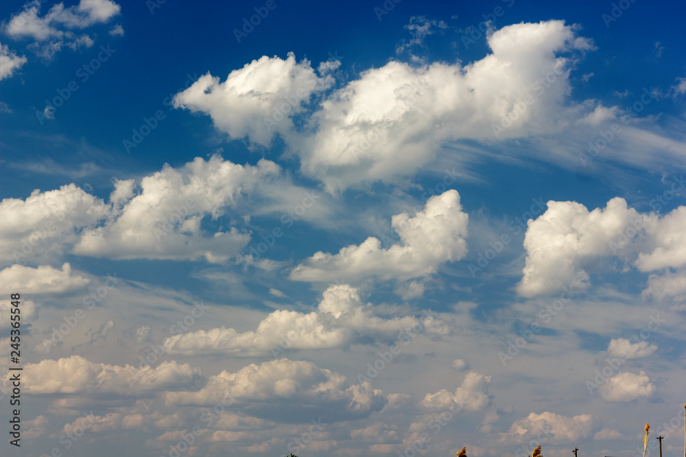 a lot of cumulus white clouds in bright blue summer sky a lot of cumulus white clouds in bright blue summer sky