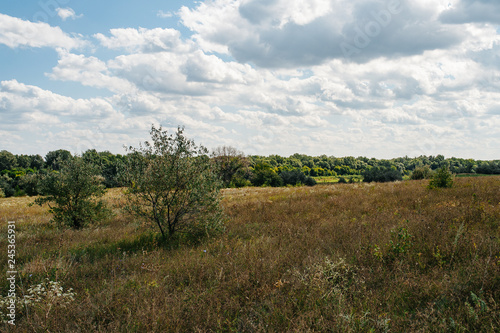 Ukraine. Summer landscape steppe, ecology scene. Erosion of natural landscape. Luhansk region