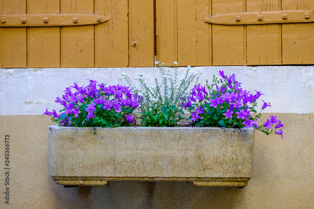 Une fenêtre fermée avec des volets en bois, décorée d'un bac à fleurs. Provence, France.