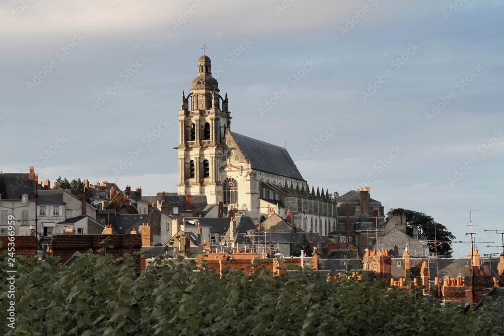 Blois, france, chapel, Cathédrale Saint-Louis, architecture, building, castle, old, cathedral, medieval, city, landmark, religion, historic, history, town,