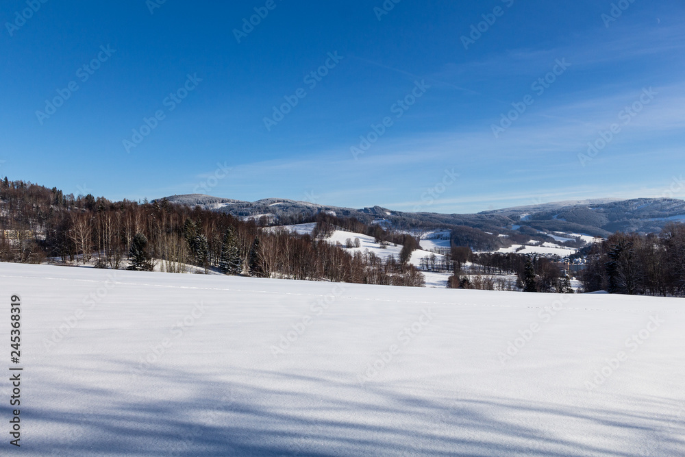 Winter wonderland background. Frosty sunny day in mountain spruce forest. Snowy trees and blue sky Winter wonderland background. Frosty sunny day in mountain spruce forest. Snowy trees and blue sky