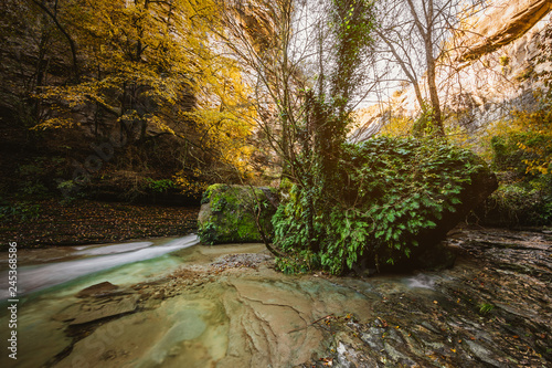 River in the middle of the forest photo