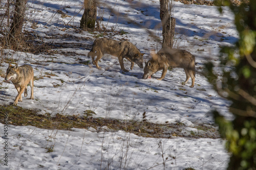 parco nazionale d abruzzo