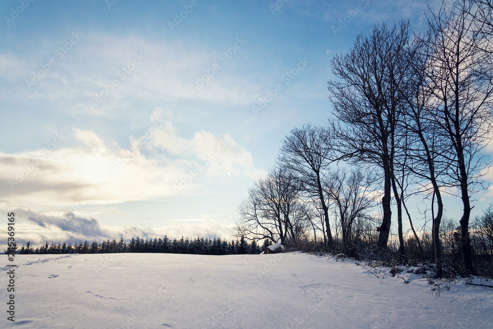 Sun beams passing through trees in beautiful snowy sunny winter landscape, freezing weather forecast concept Sun beams passing through trees in beautiful snowy sunny winter landscape, freezing weather forecast concept