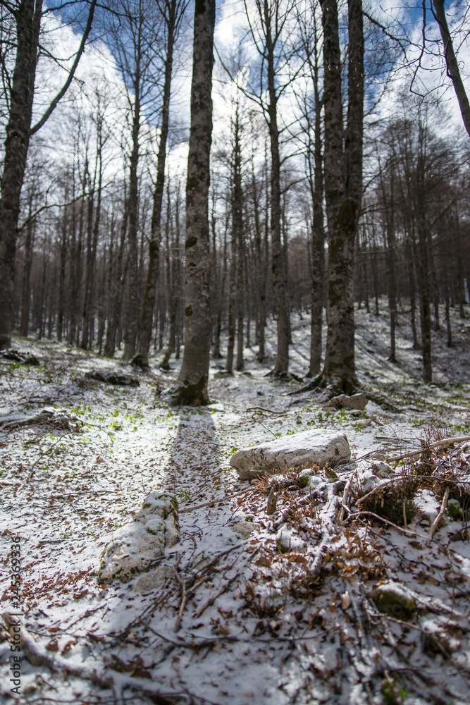 parco nazionale d'abruzzo parco nazionale d'abruzzo