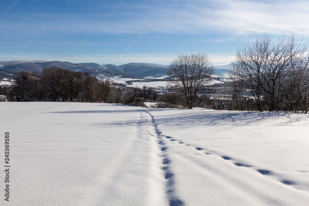 Clear sunny sky with a beautiful landscape on snow covered trees in a evanescent Christmas morning in the mountains. Clear sunny sky with a beautiful landscape on snow covered trees in a evanescent Christmas morning in the mountains.