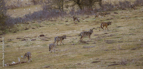 parco nazionale d'abruzzo