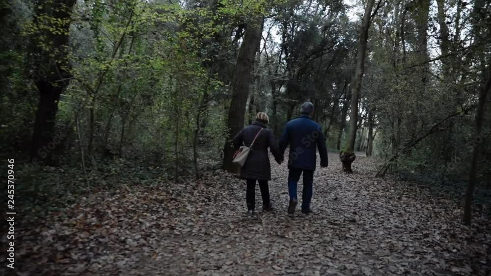 Senior couple walking through the forest Senior couple walking through the forest