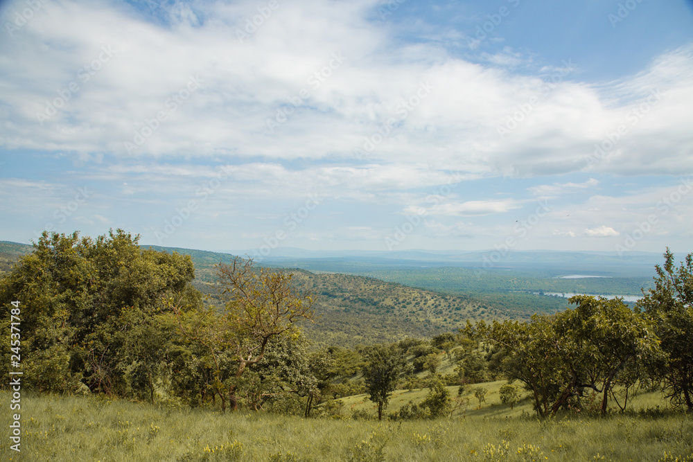 Fototapeta premium Mash Land