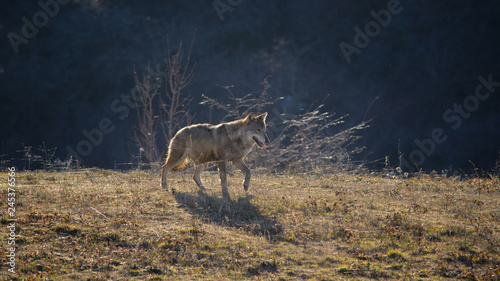 parco monte amiata © alex