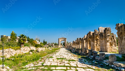 Roman Aqueduct in Tyre, Lebanon
