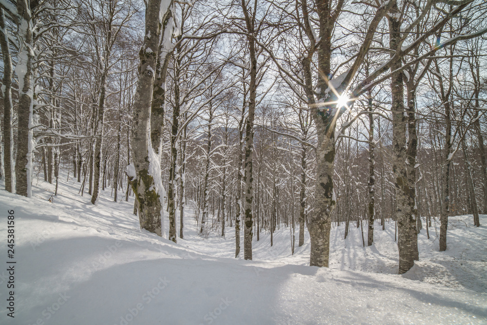 parco nazionale d'abruzzo parco nazionale d'abruzzo