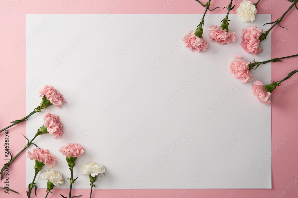 beautiful pink and white carnation flowers and blank card on pink background
