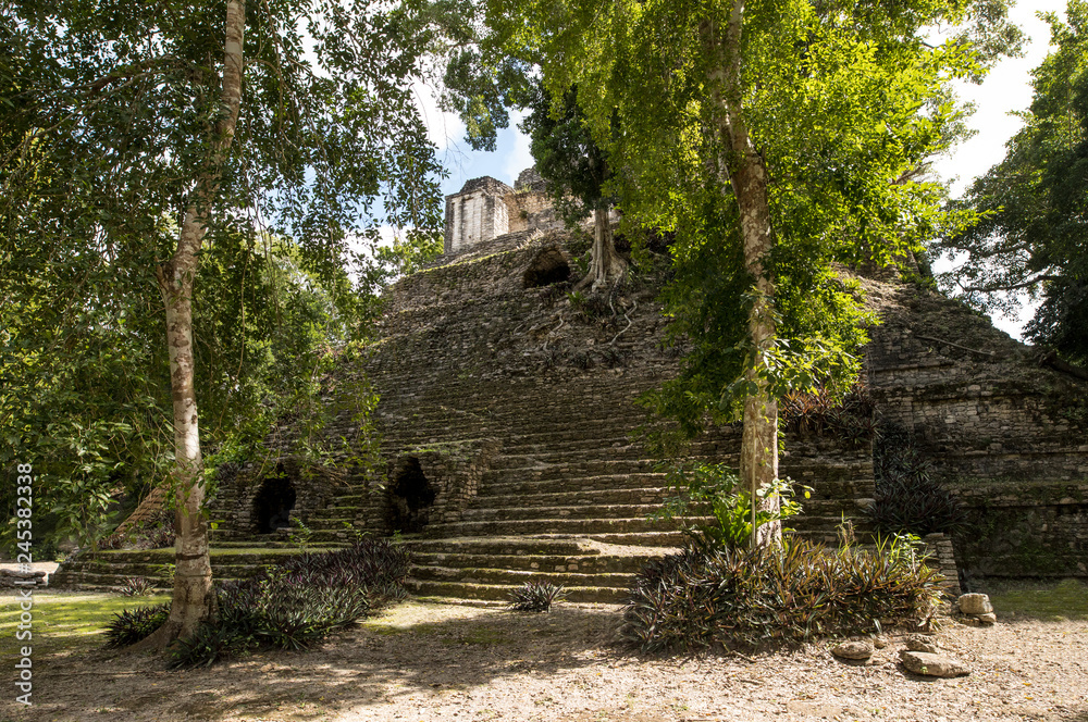 The Mayan temple of Dzibanche in the rain forest of Quintana Roo, Mexico. The Mayan temple of Dzibanche in the rain forest of Quintana Roo, Mexico.
