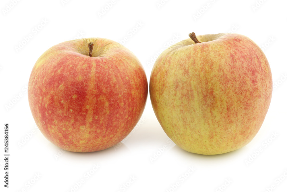 fresh Dutch cooking apples on a white background fresh Dutch cooking apples on a white background