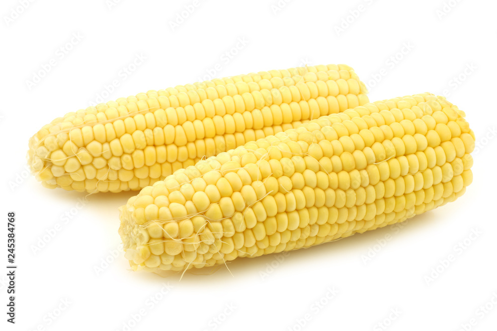 fresh corn on the cob on a white background