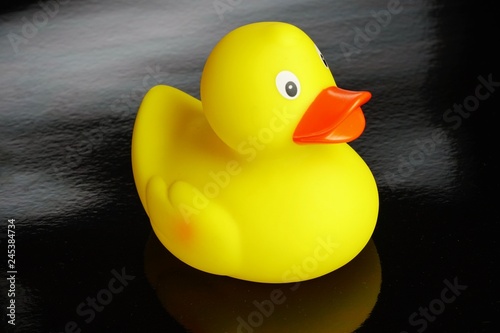 Yellow duck bath toy