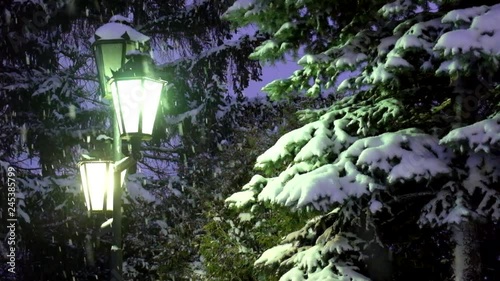 It is snowing in the evening light of a street lamp. Snow is falling covering the branches of the firs