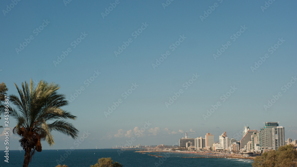 Waterfront views of Tel Aviv with a palm
