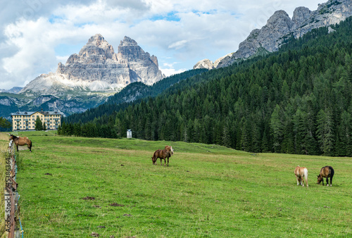 Auronzo mountain Dolomites with horses © Gandolfo Cannatella