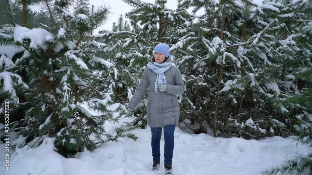 woman walking among pine trees in snowy winter forest woman walking among pine trees in snowy winter forest