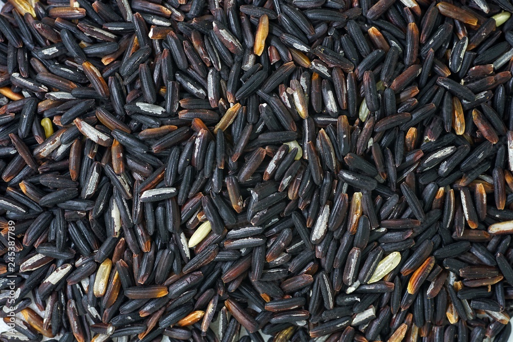 group of riceberry seed group of riceberry seed