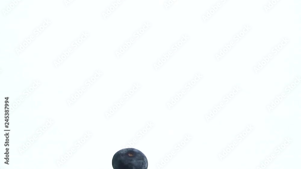 a blueberry falling down under the water, rotating, becoming slow; slow motion footage a blueberry falling down under the water, rotating, becoming slow; slow motion footage