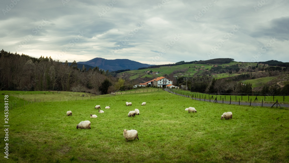 Typical Basque farmhouse with sheep grazing on a cloudy day