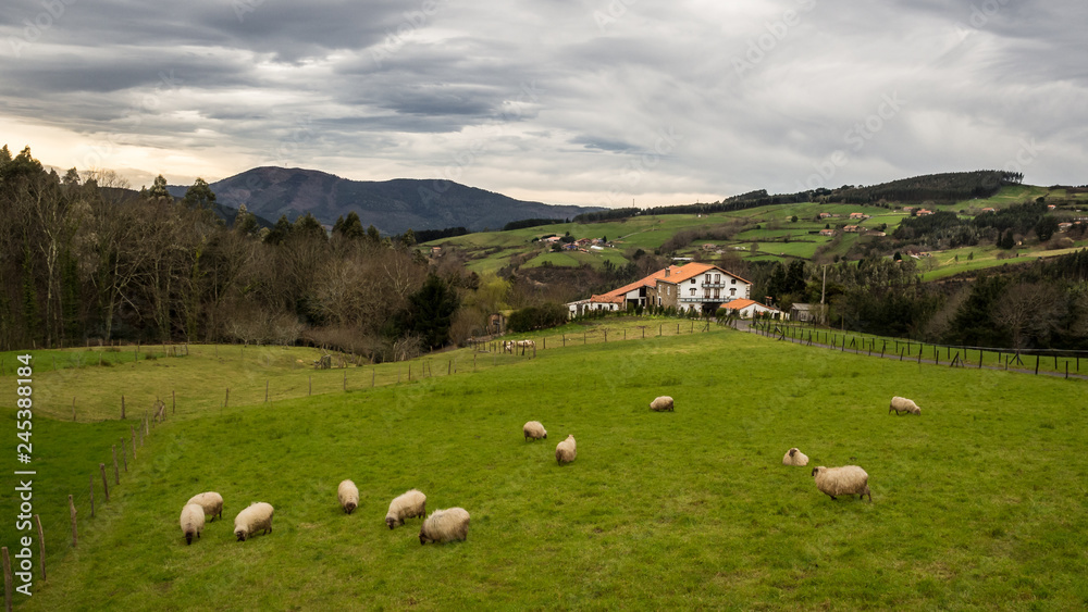 Fototapeta premium Typical Basque farmhouse with sheep grazing on a cloudy day