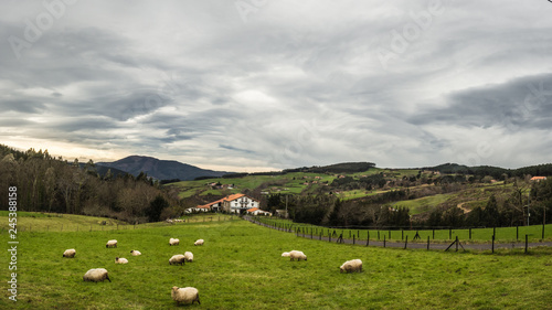 Typical Basque farmhouse with sheep grazing on a cloudy day