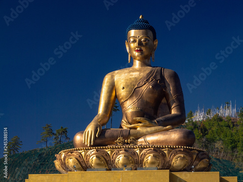 Photography Buddha in Thimphu in Bhutan