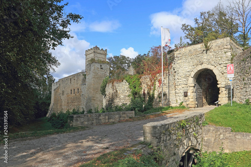 The Romanesque castle complex of the Eckartsburg photo