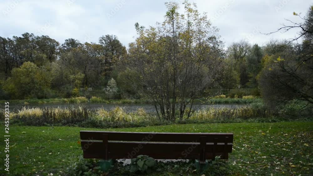 Lonely bench at the autumn lake aod tree.