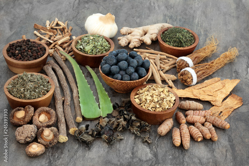 Adaptogen food selection with herbs, spice, fruit and supplement powders. Used in herbal medicine to help the body resist the damaging effect of stress and restore normal physiological functioning. photo