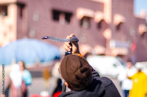 snake charmer in jemaa el fna market in marrakesh