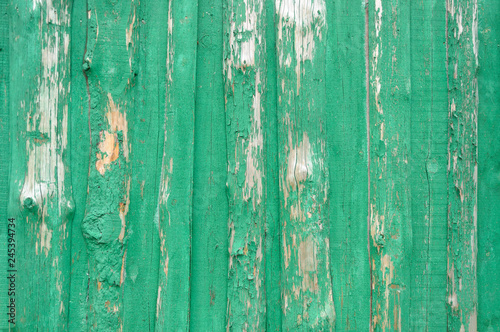 Old wooden green background