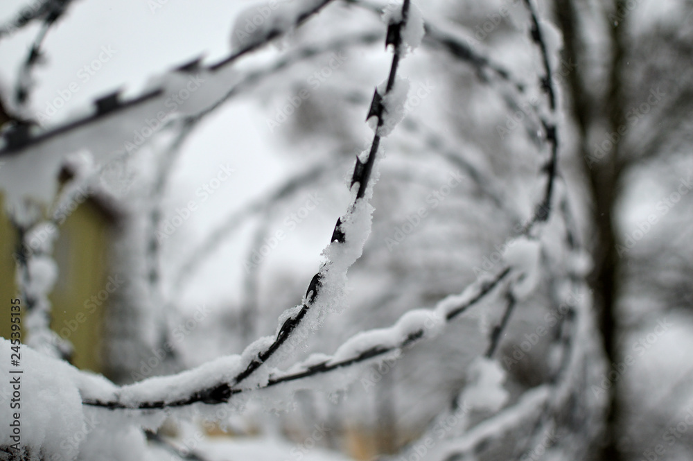 Barbed wire under a snowy cloudy winter day Barbed wire under a snowy cloudy winter day
