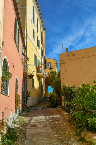 View of a narrow alley of the medieval village of Cervo Ligure with the typical coloured houses  Liguria  Italy