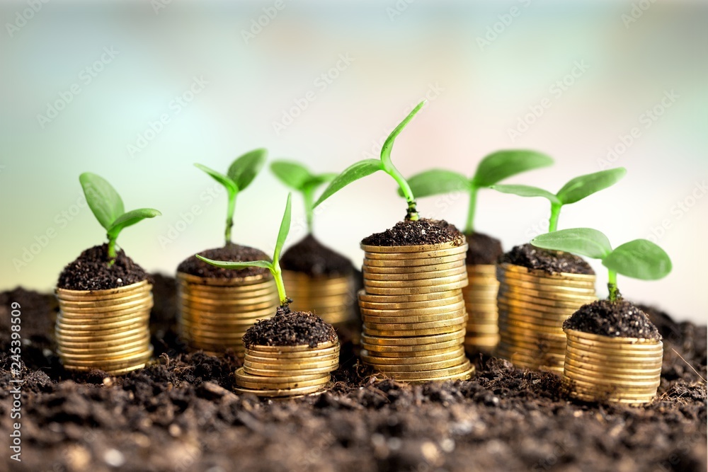 Coins in soil with young plants on background Coins in soil with young plants on background
