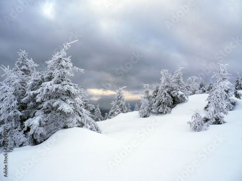 Beautiful winter landscape with snow covered trees © rss_maxim