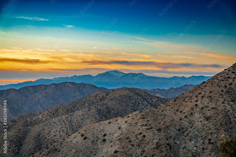 Joshua Tree