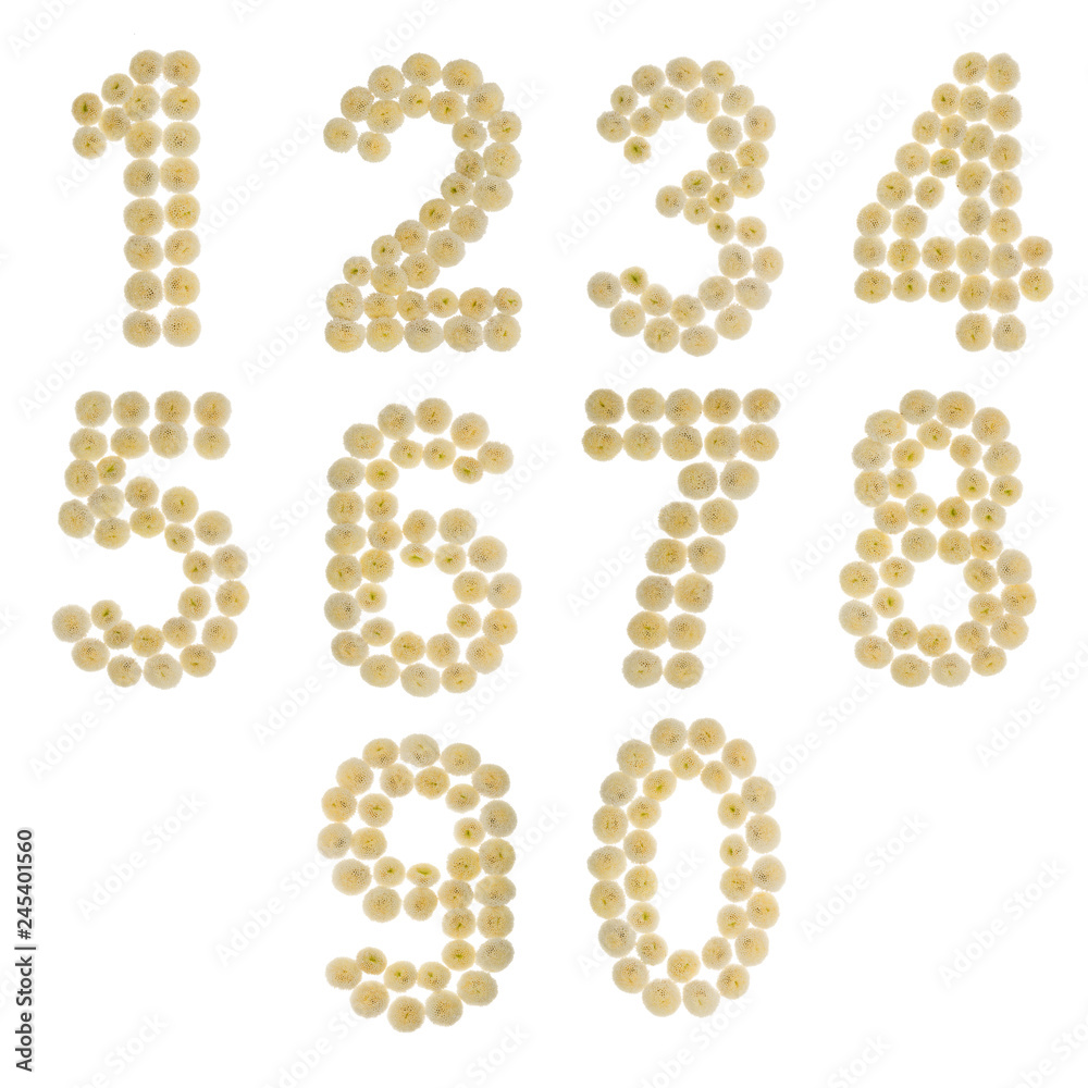Set of arabic numbers from natural beige flowers of chrysanthemum, isolated on white background Set of arabic numbers from natural beige flowers of chrysanthemum, isolated on white background