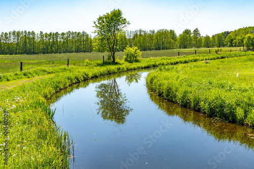 View to a creek in the local recreational area "Flaeming-Skate" near Berlin, Germany.