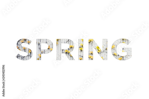 Spring word concept on white background
