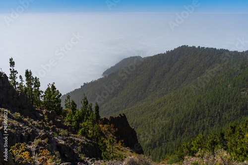 View of the valley and the forest from under the clouds. Viewpoint: Mirador de Ortuno. Tenerife. Canary Islands. Spain. photo