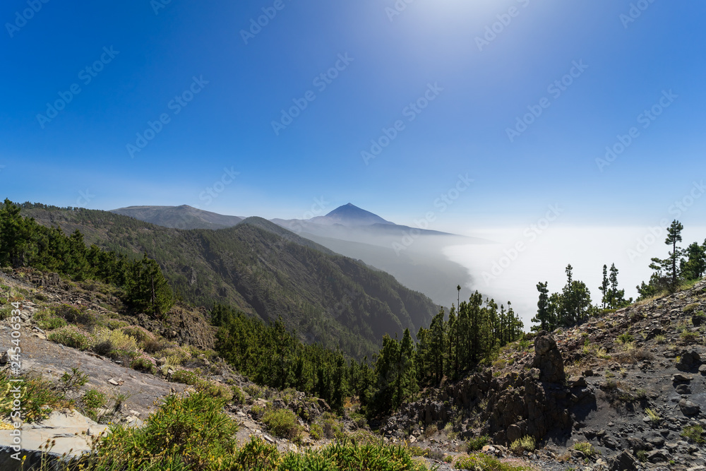Vew of the Teide volcano. Viewpoint: Mirador de Ortuno. Canary Islands. Tenerife. Spain.