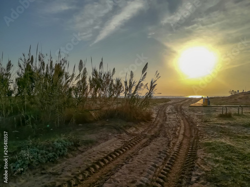 Fine sand beach bathed by the waters of the Mediterranean Sea