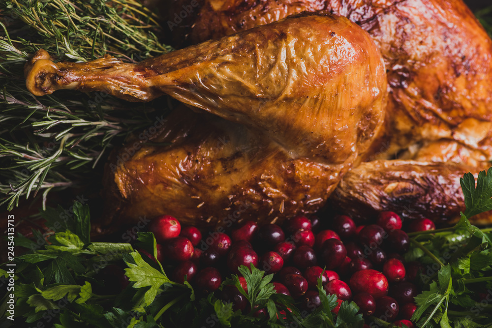 Thanksgiving Turkey with Cranberries Thanksgiving Turkey with Cranberries